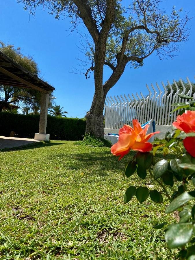 Serf A 100 M Dalla Villa